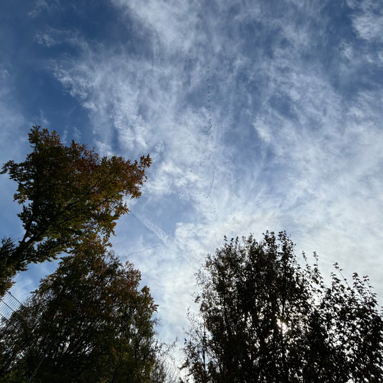 Impressionen aus Leichlingen